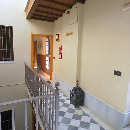 Living-sevilla San Lorenzo